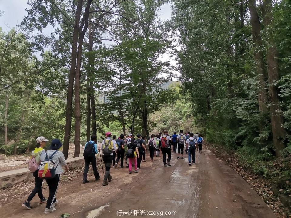 mmexport1590885055679