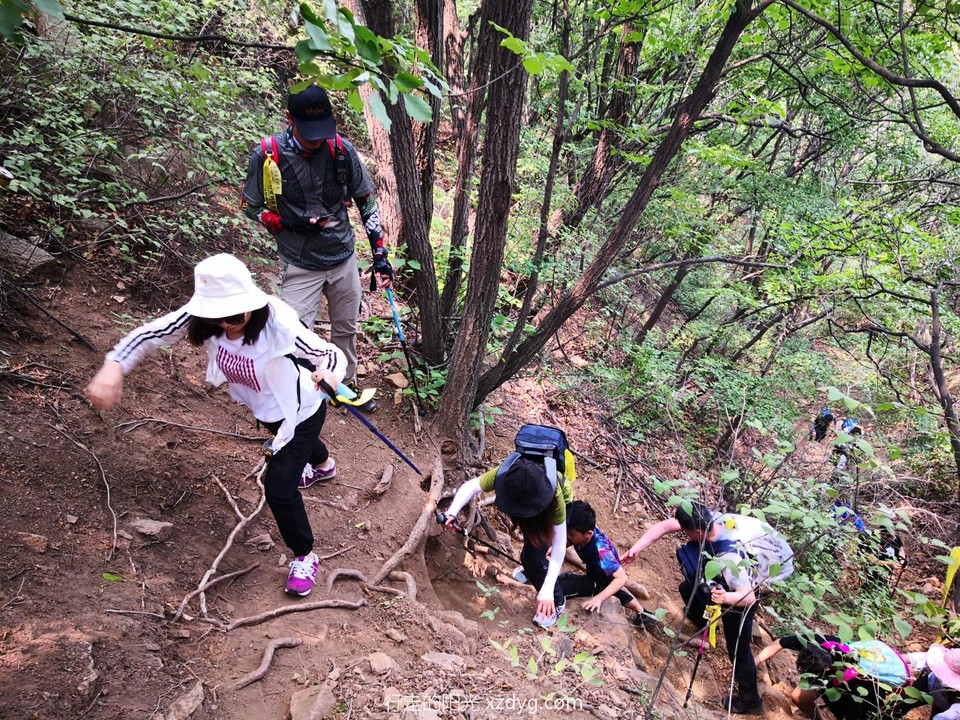 mmexport1590883866828