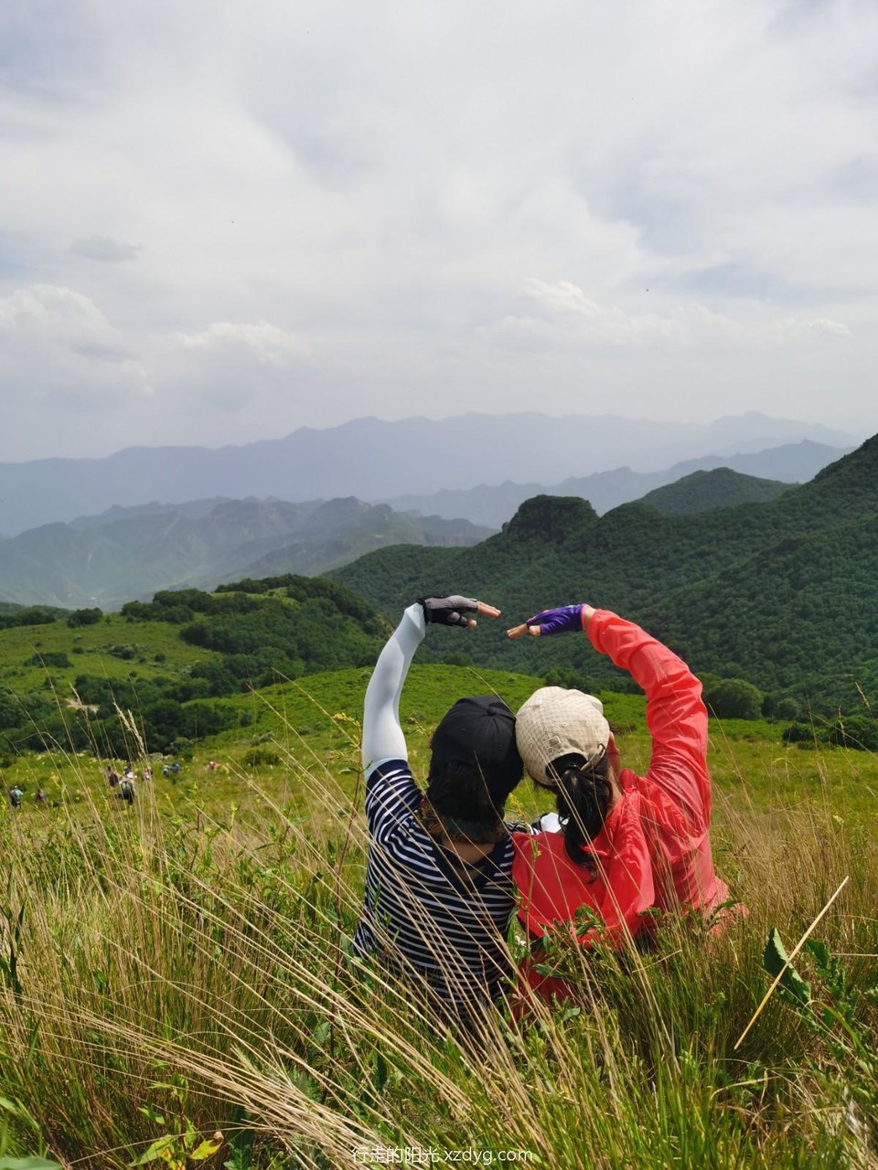 mmexport1592119919109