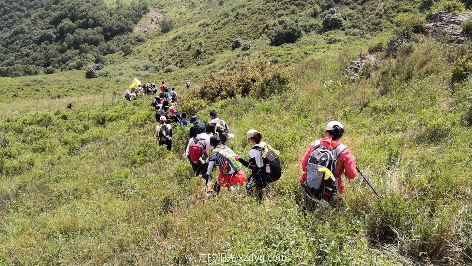 mmexport1592102575968