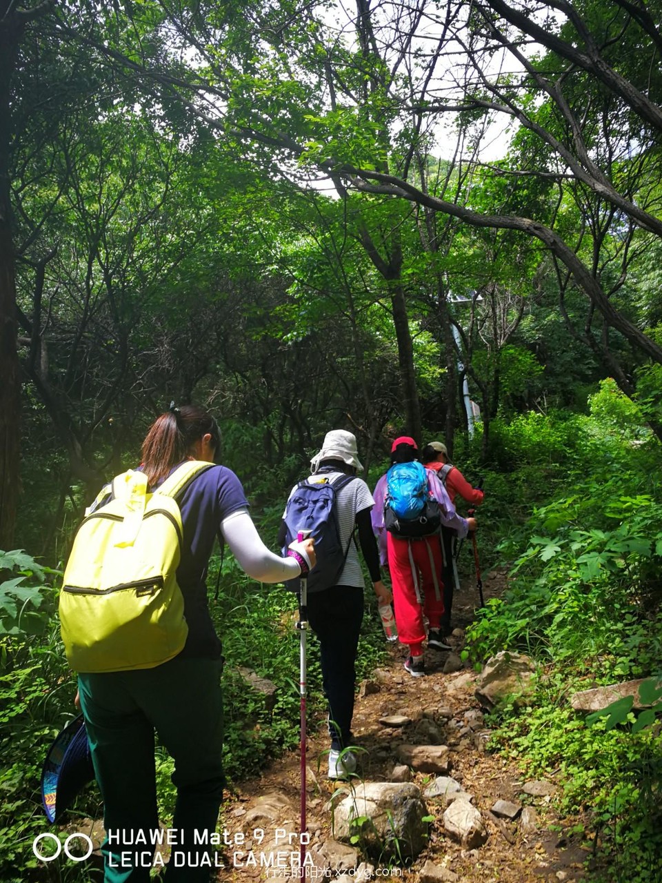 mmexport1592102488768