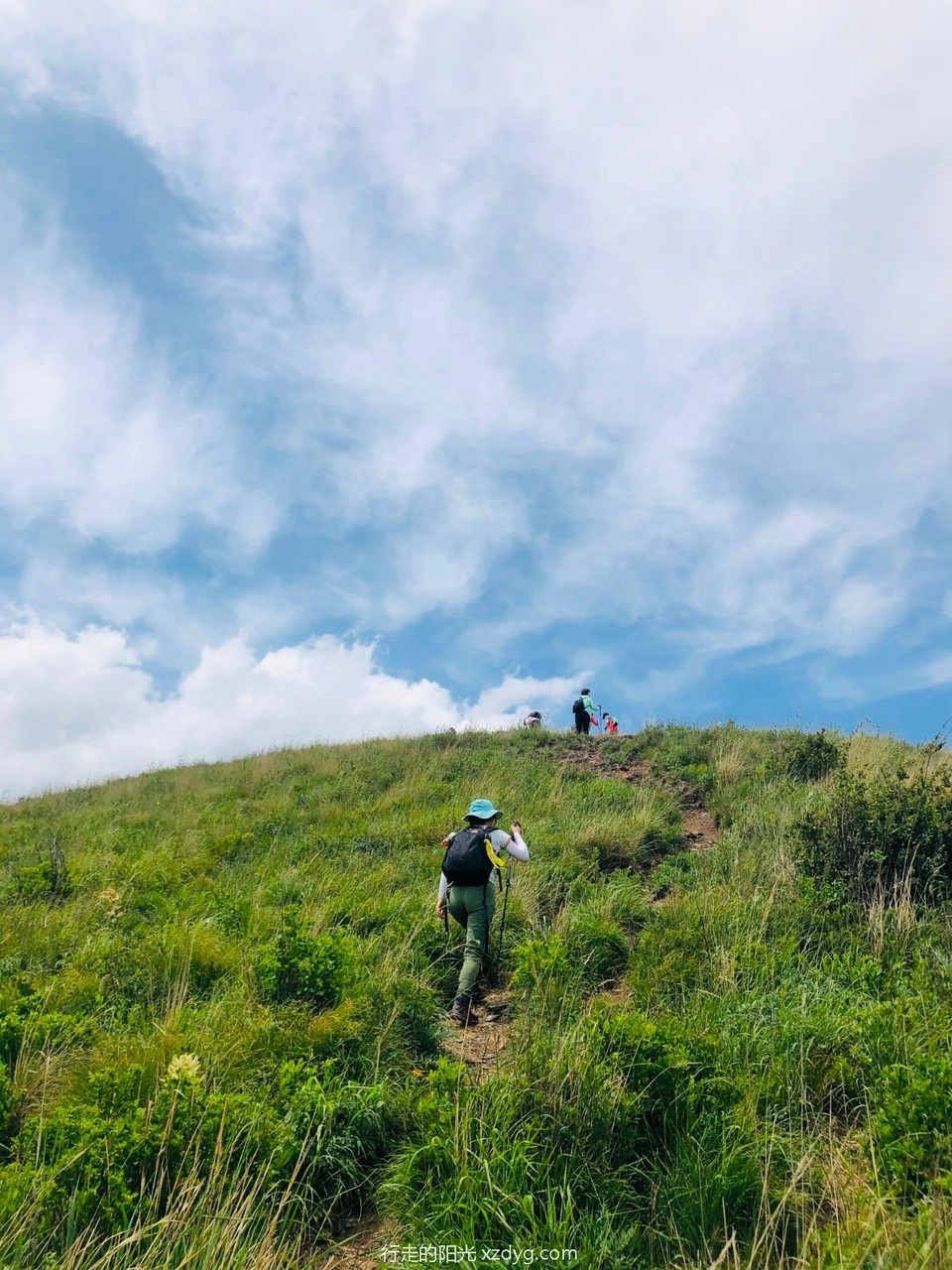 mmexport1592101529185