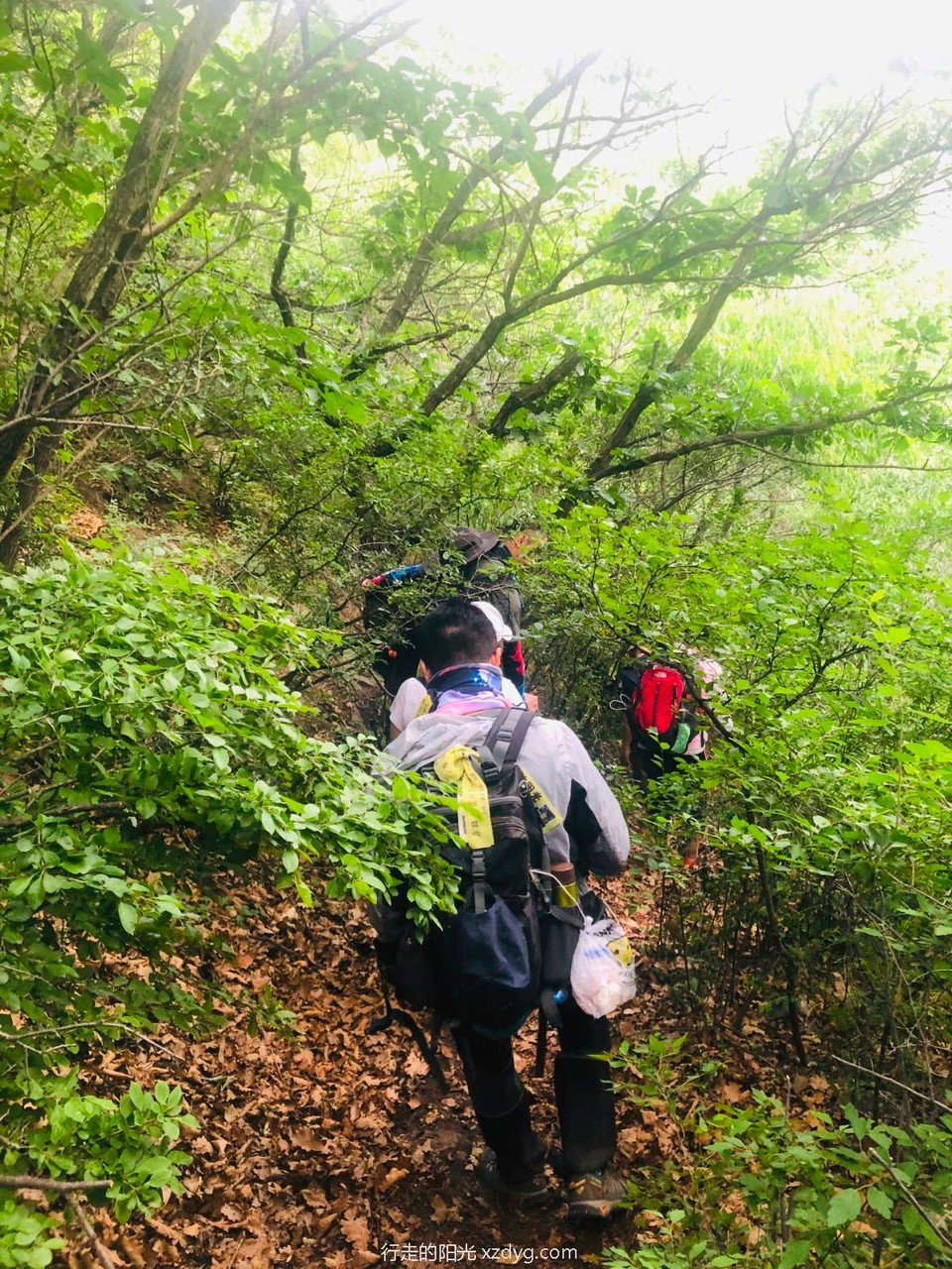 mmexport1592101387900