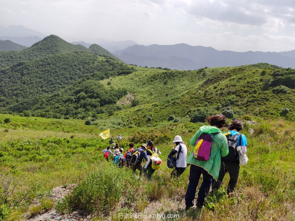 mmexport1592101322324