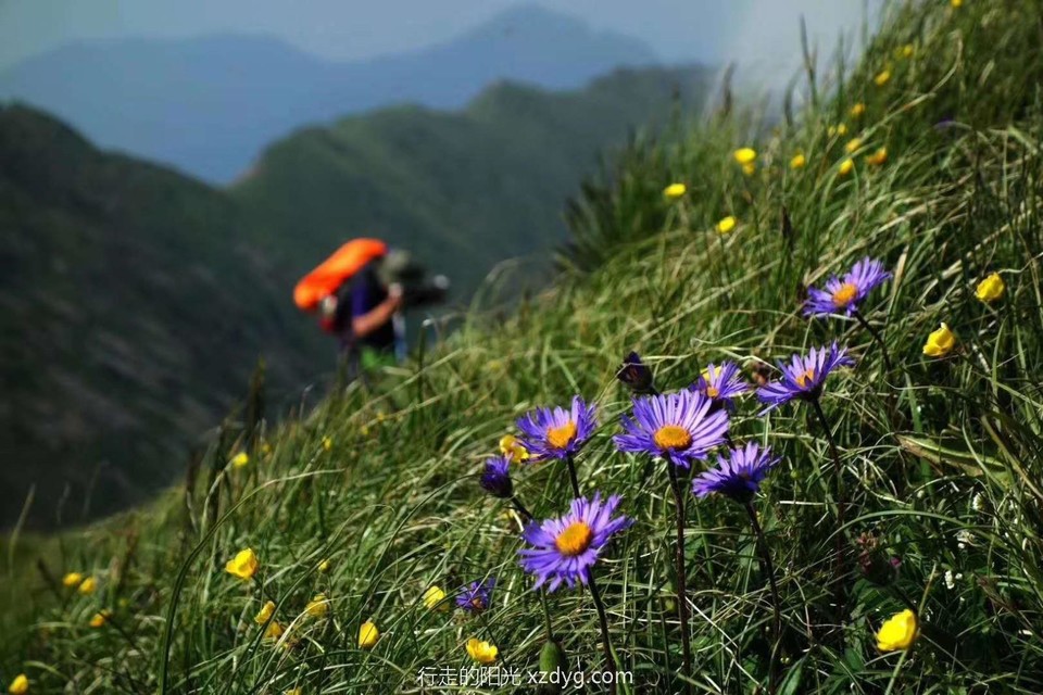 mmexport1593524424257