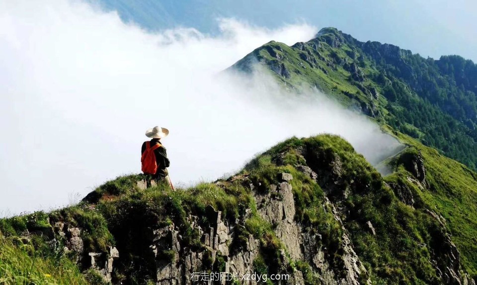 mmexport1593524421273