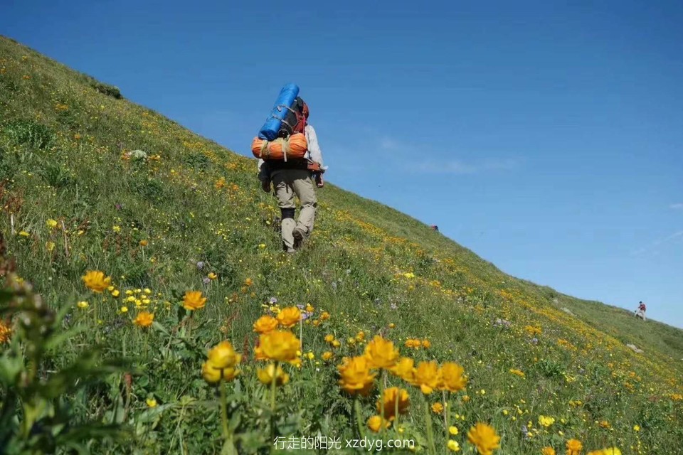 mmexport1593524418263