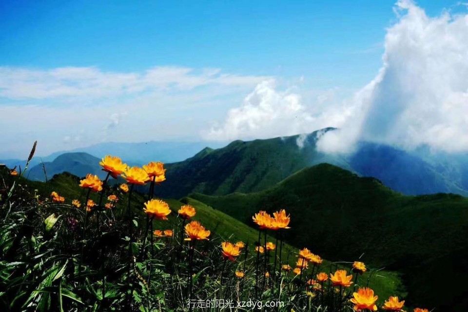 mmexport1593524415142