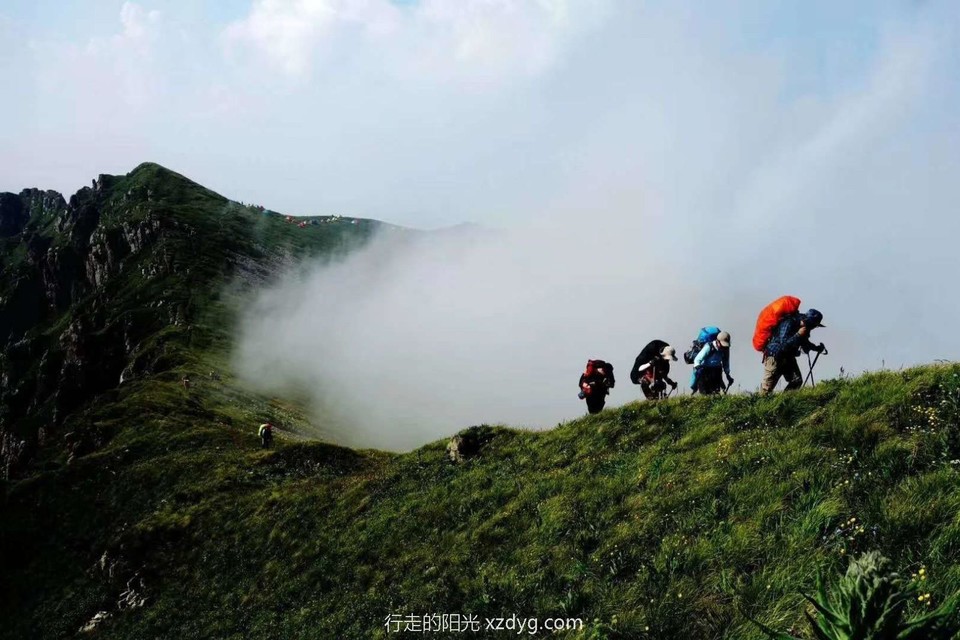 mmexport1593524409989