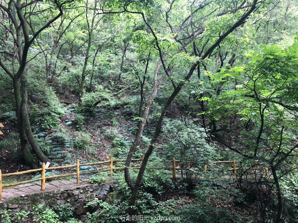 mmexport1594528690183