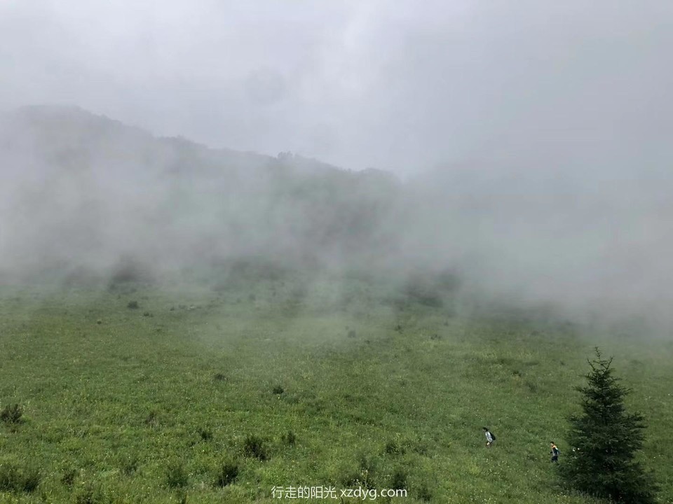 mmexport1594528682628