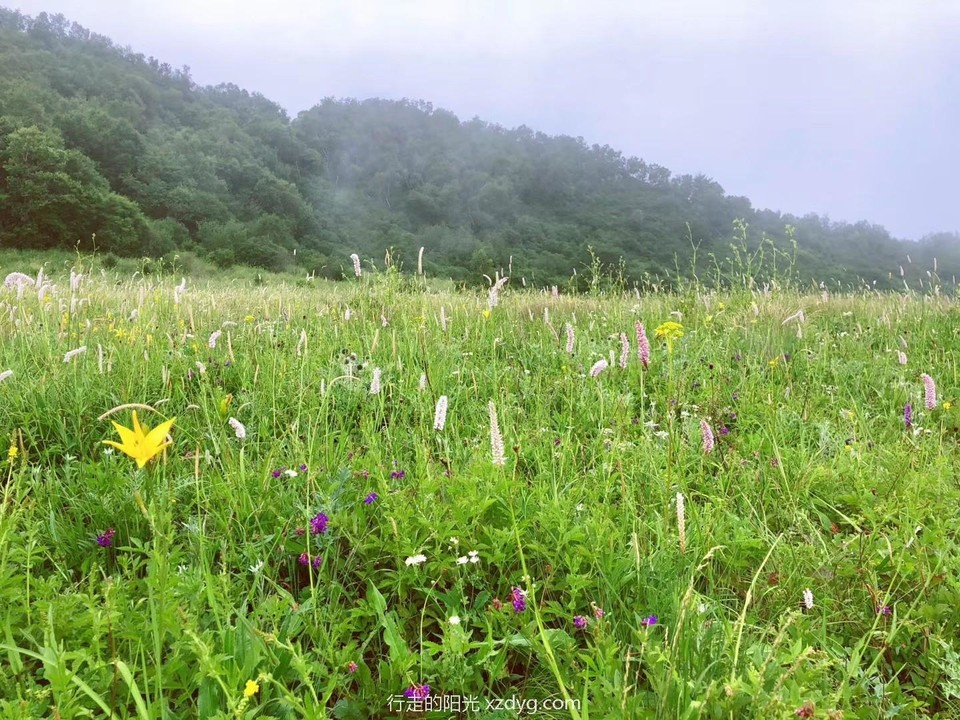 mmexport1594528679317