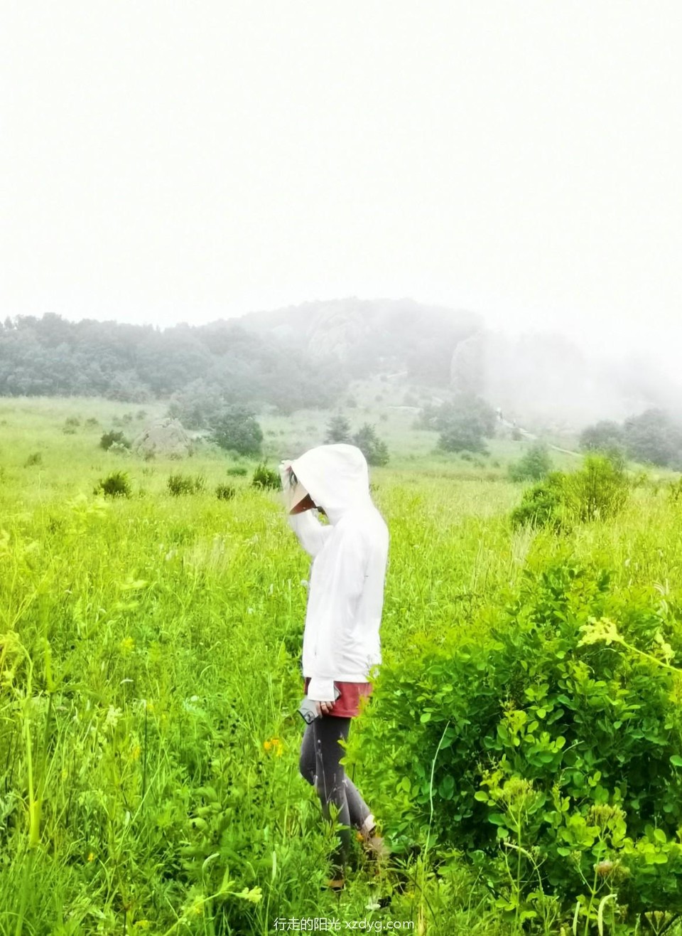 mmexport1594513897123