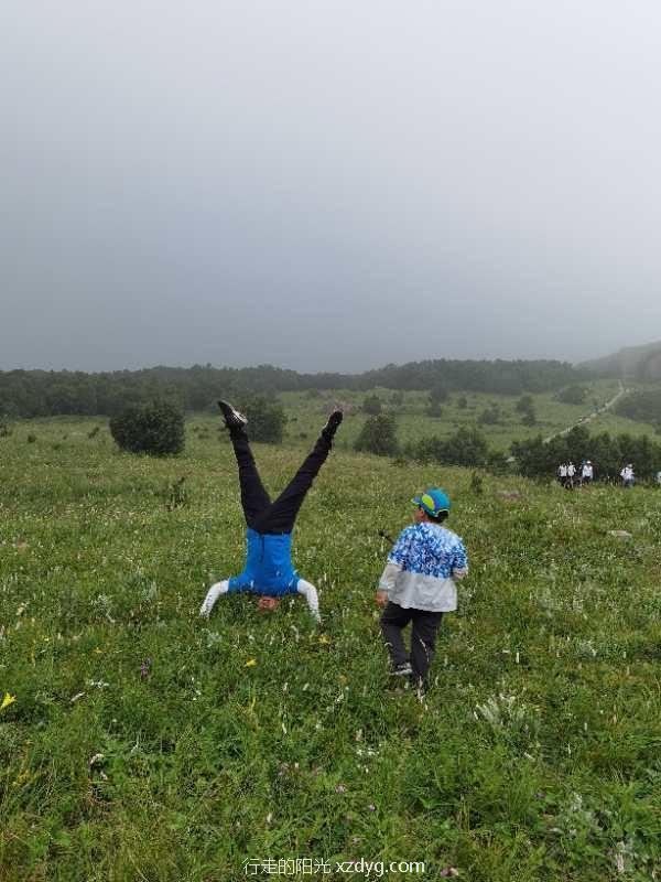 mmexport1594513695083