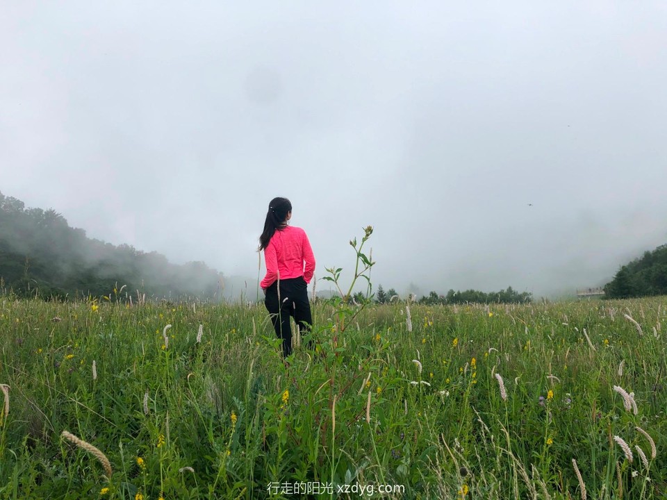 mmexport1594513665678