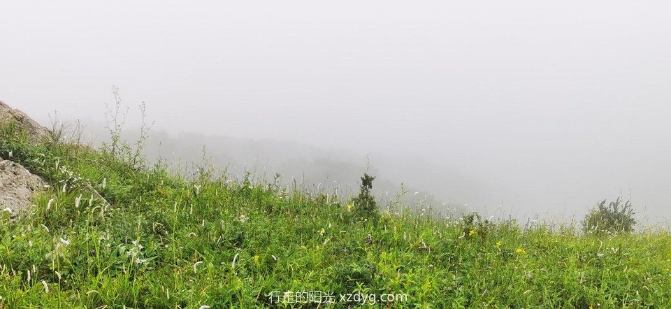 mmexport1594513381943