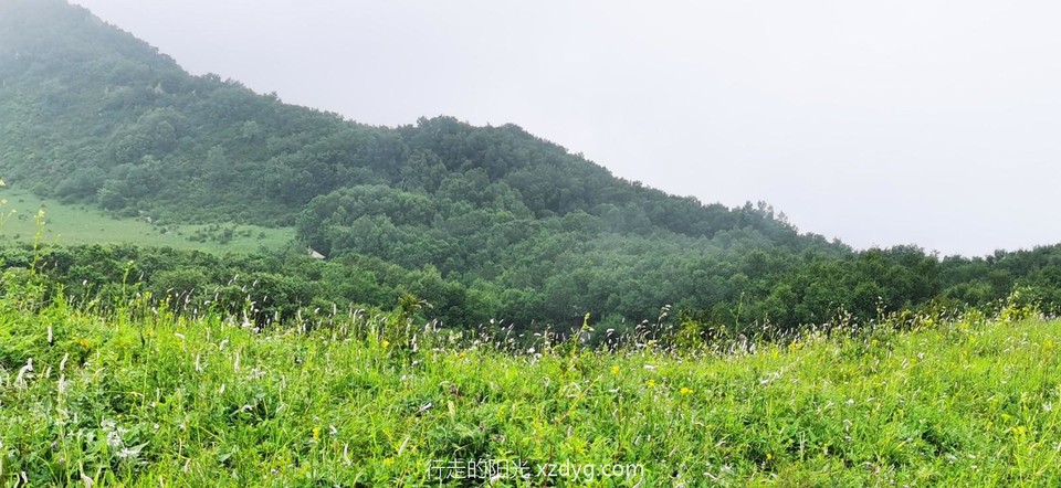 mmexport1594513373731