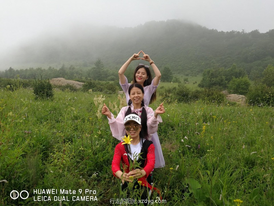 mmexport1594513211561