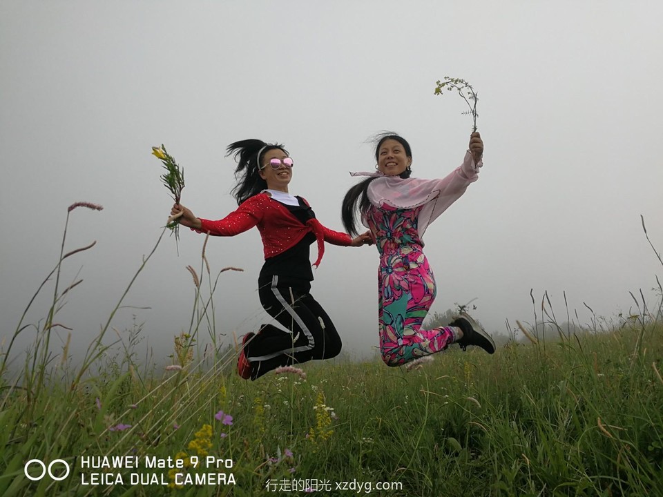 mmexport1594513229384