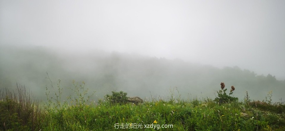 mmexport1594513354819