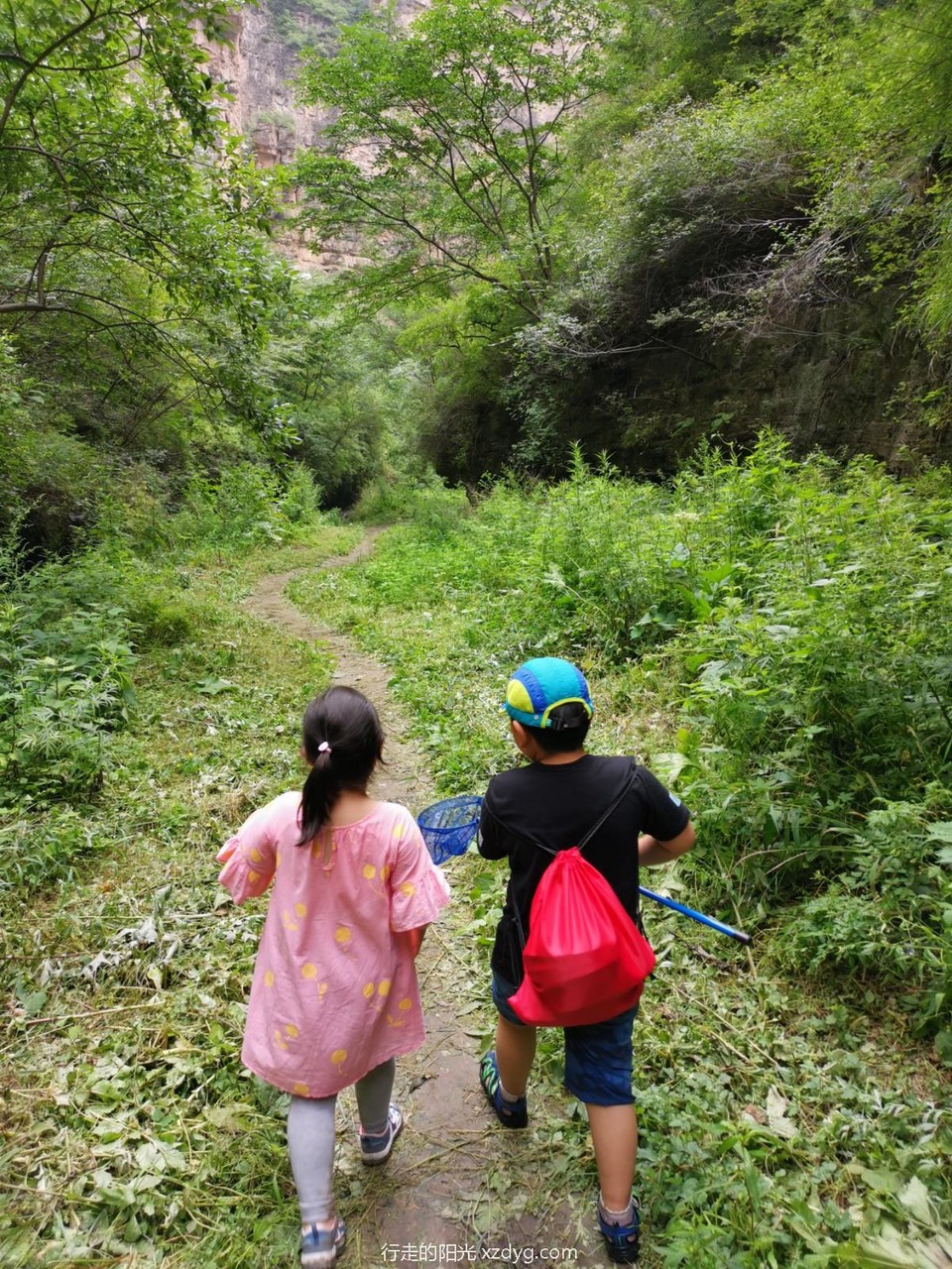 mmexport1595085089299