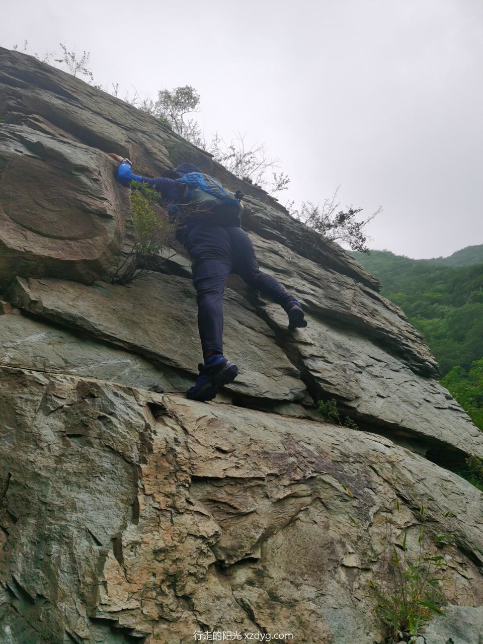 mmexport1596368853806