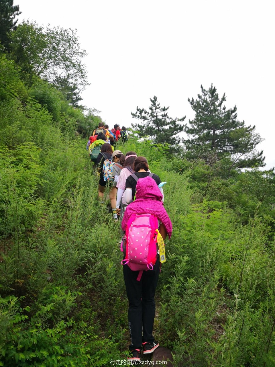 mmexport1596367949427