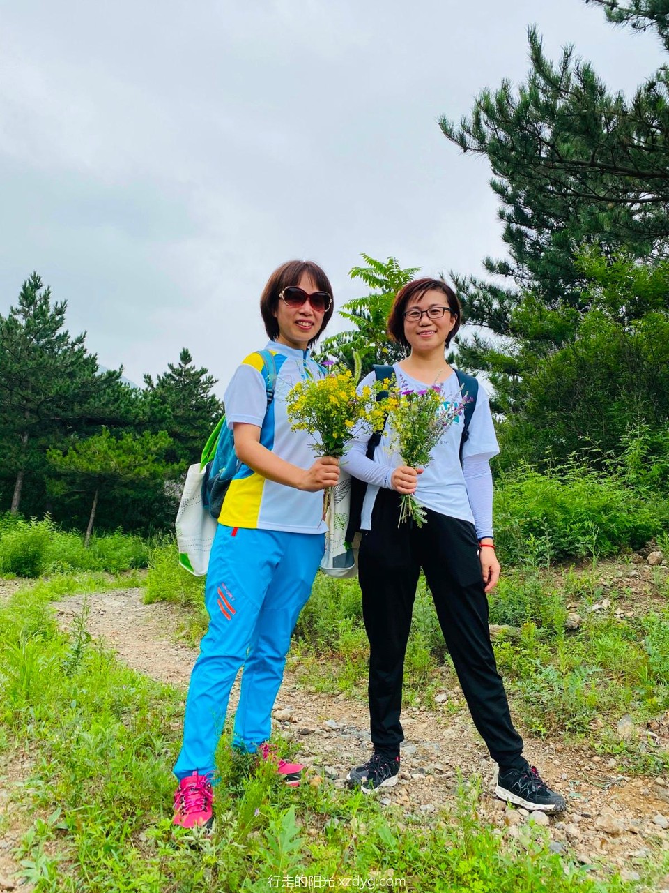 mmexport1596367828320