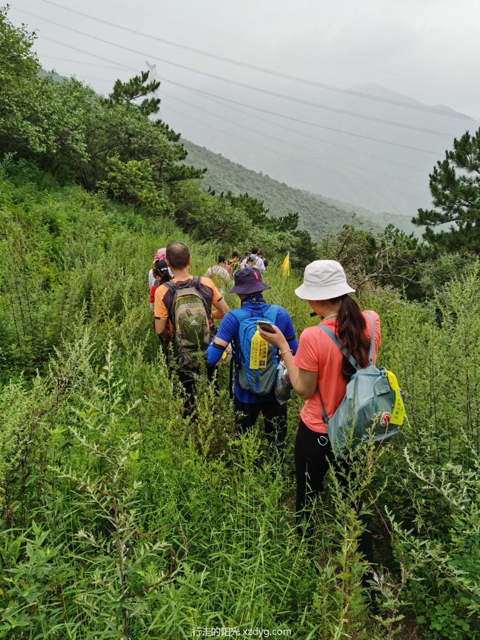 mmexport1596367739554