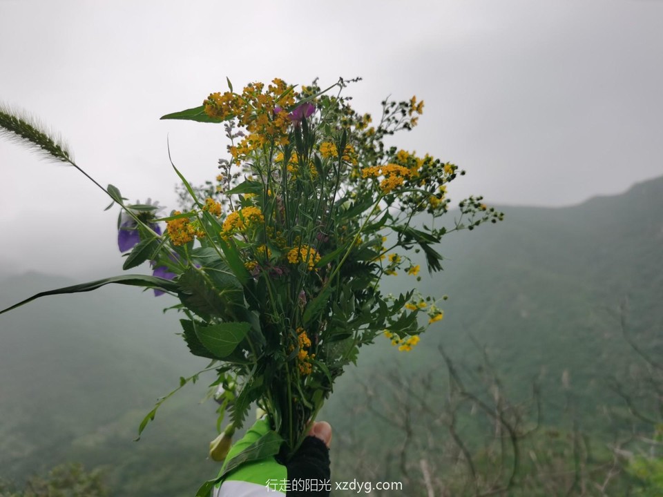 mmexport1596336881108