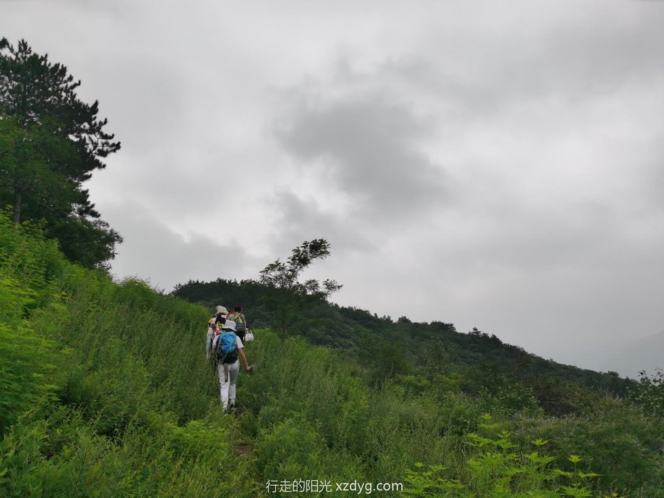 mmexport1596336872298