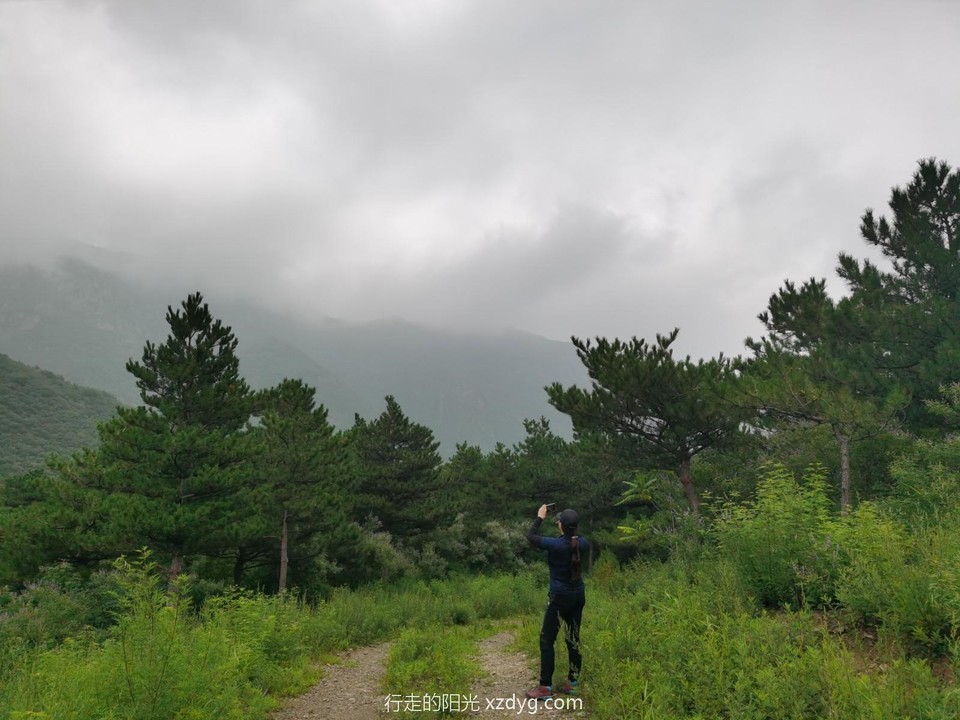 mmexport1596336864130