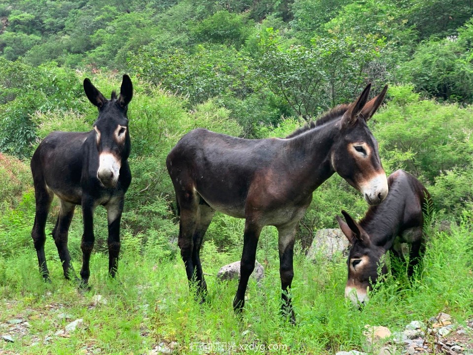 mmexport1596336826651