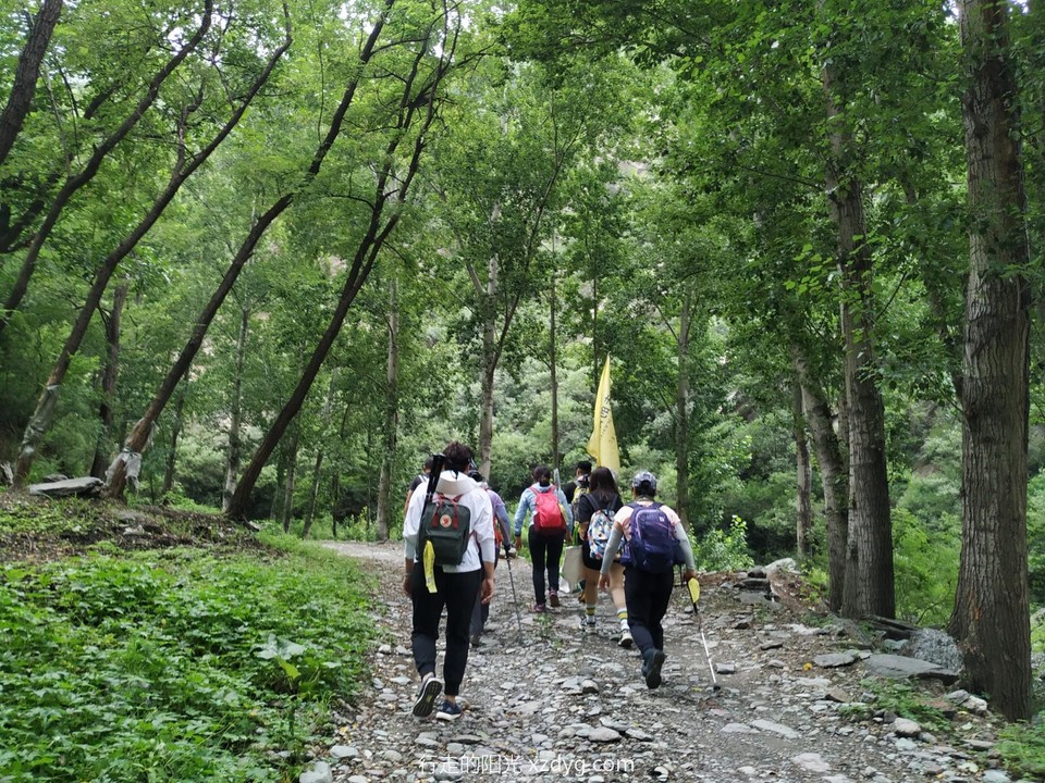 mmexport1596336782577