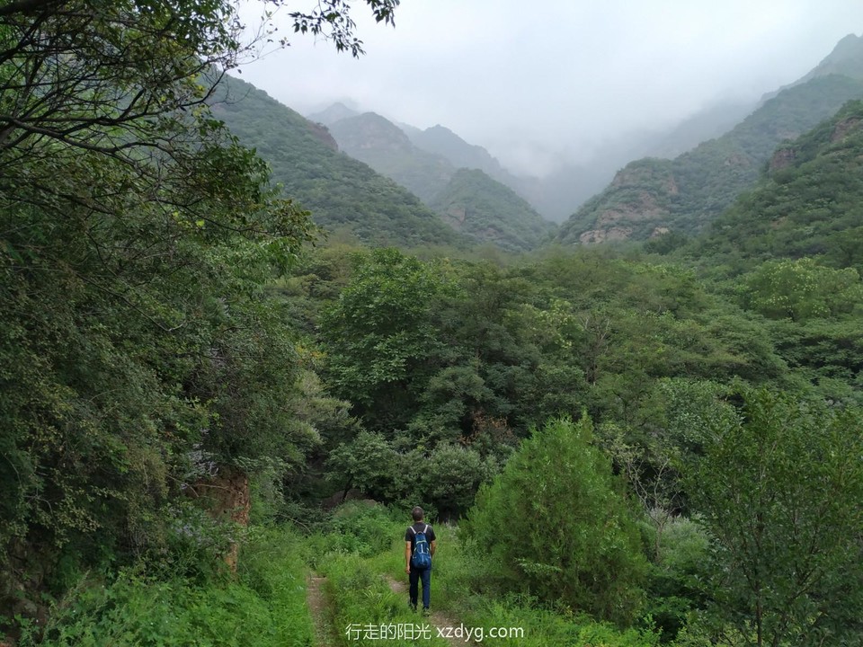 mmexport1596336707589