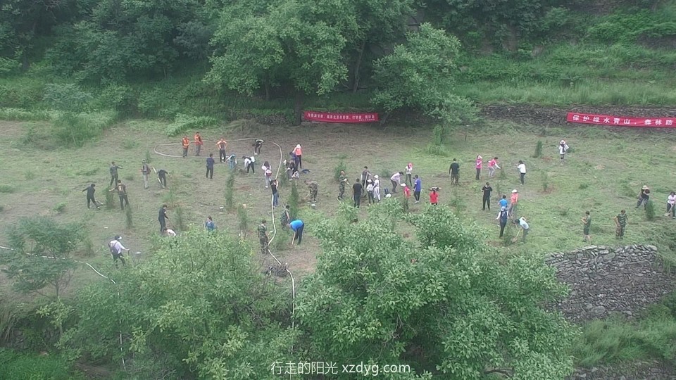 mmexport1596336089292