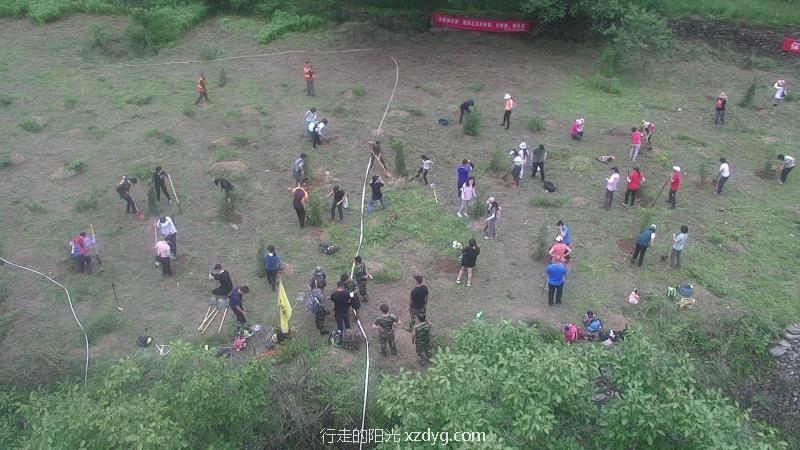 mmexport1596336028615