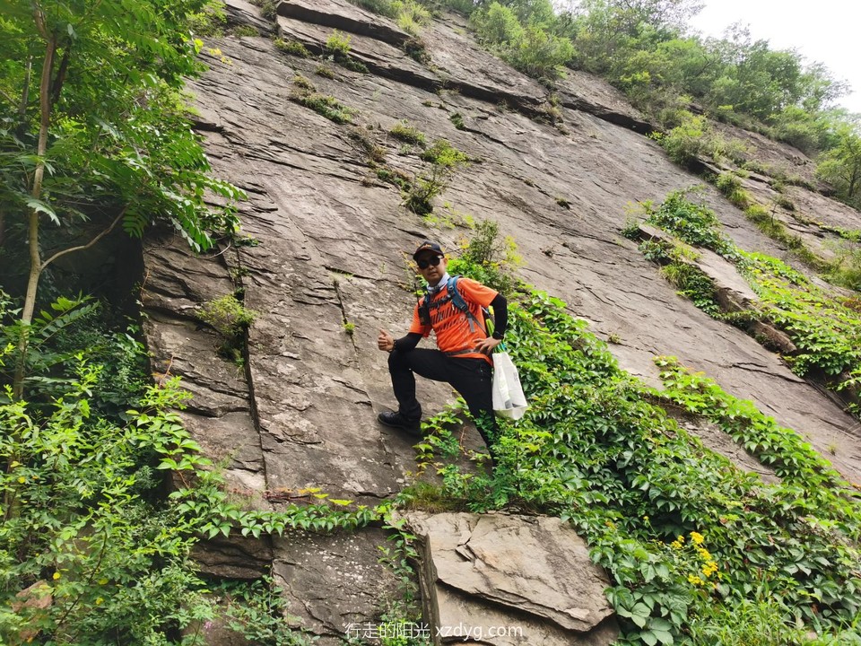 mmexport1596335675719