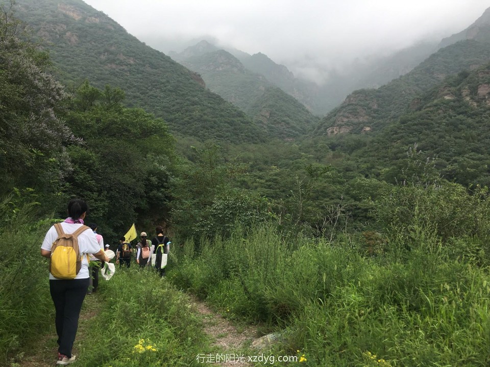 mmexport1596335530038