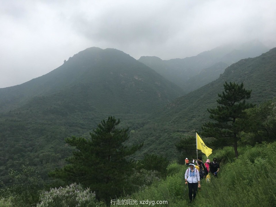 mmexport1596335494991