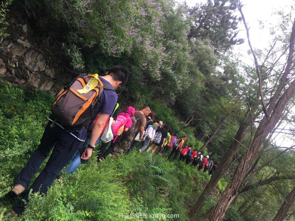 mmexport1596335478764