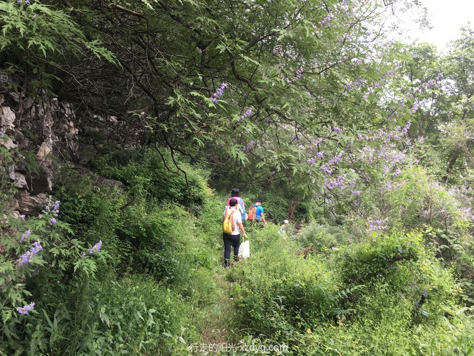 mmexport1596335463133