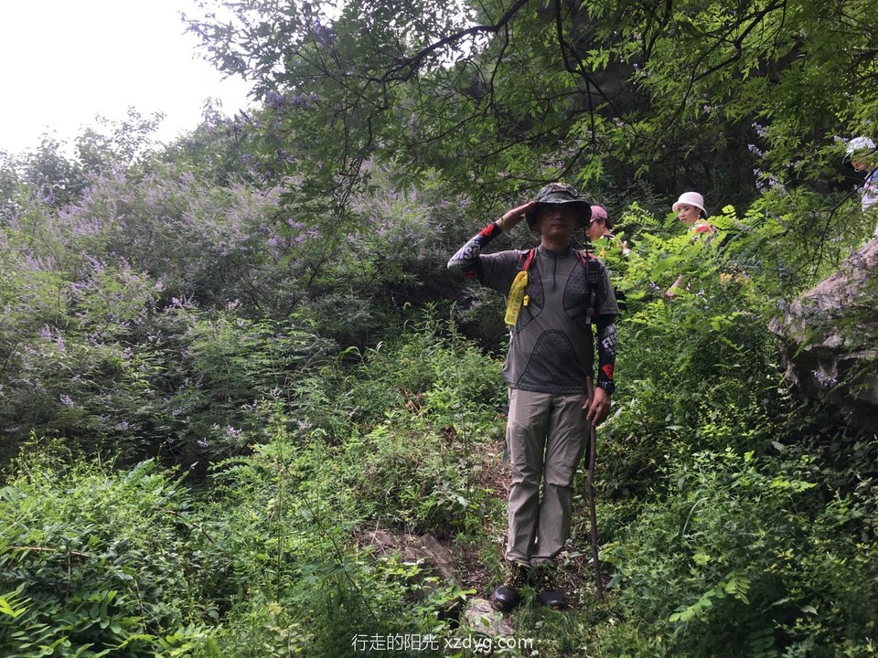 mmexport1596335445931