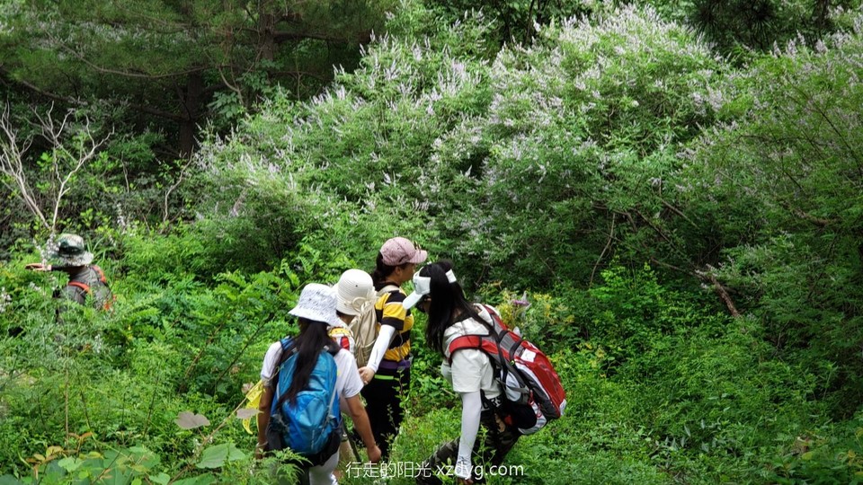 mmexport1596335233585