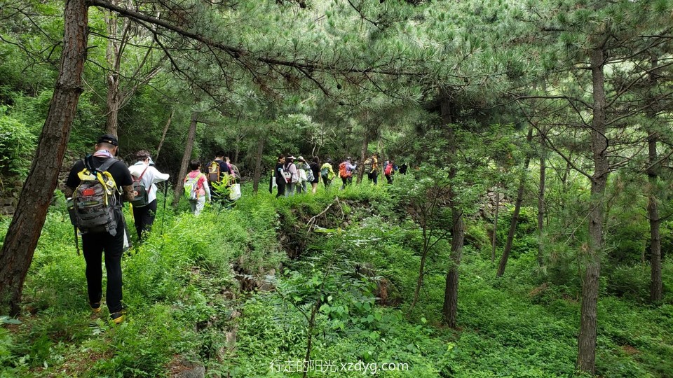 mmexport1596335219306