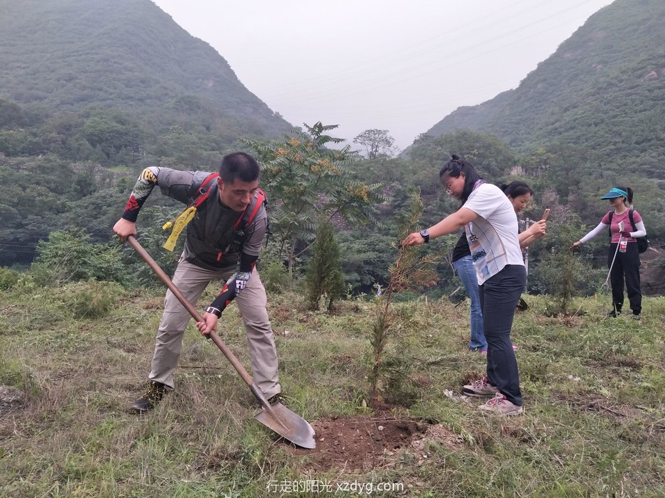 mmexport1596335177593