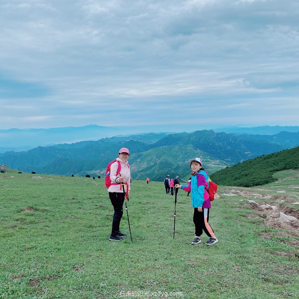 mmexport1595755298741