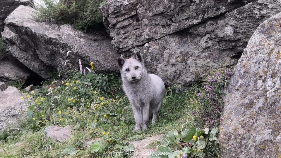 mmexport1595737090676