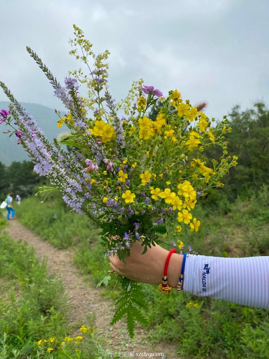 mmexport1596367856647