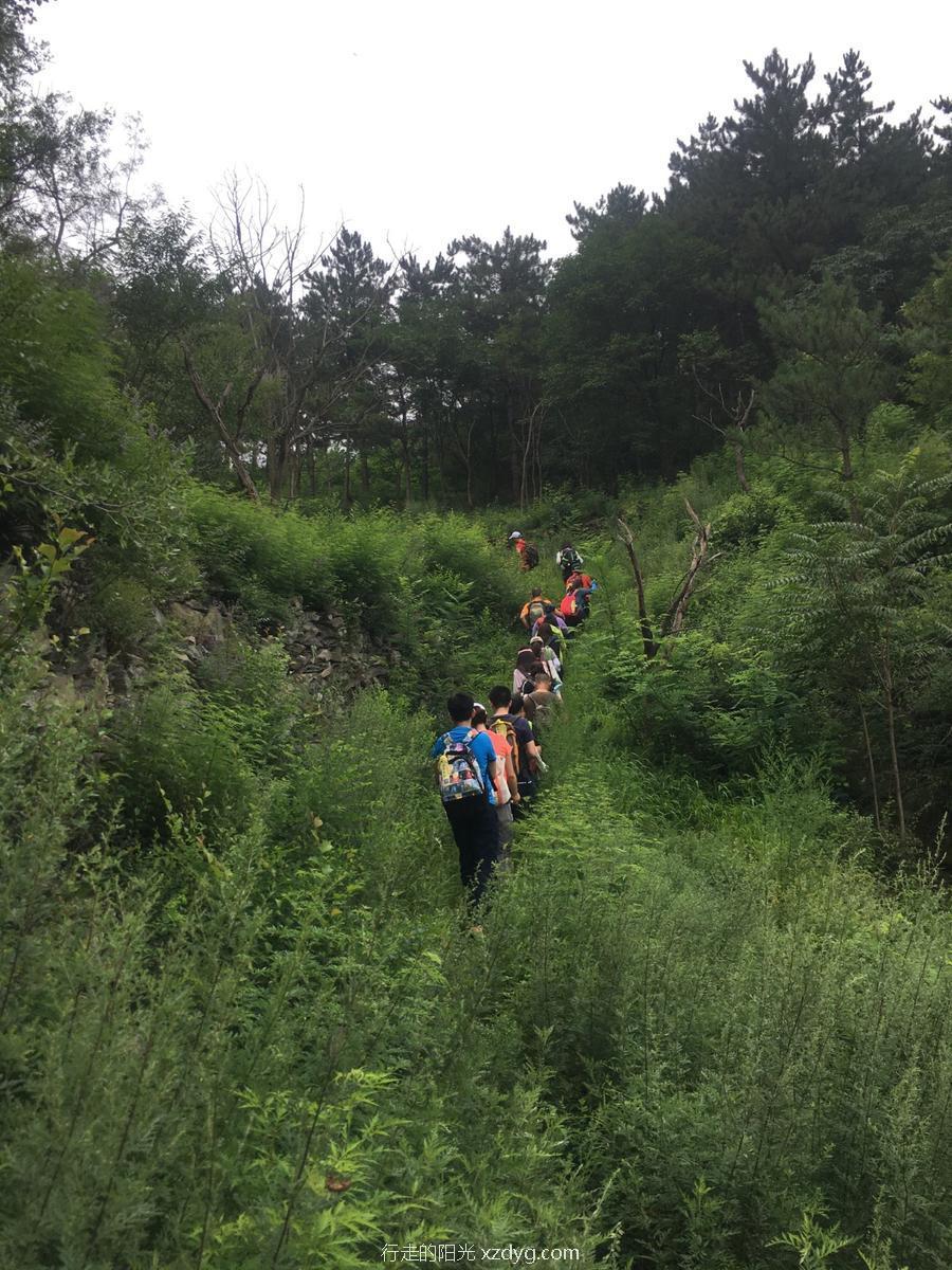 mmexport1596368261907